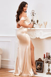 Champagne Off The Shoulder Mermaid Evening Dress
