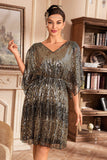 Golden Sparkly 1920s Dress with Sequins