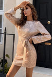 Champagne Long Sleeves Glitter Cocktail Dress With Hollow-out