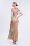Champagne Sparkly Fringes Long 1920s Dress with Short Sleeves