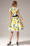 Vintage Floral Print Swing Dress
