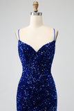 Elegant Royal Blue Mermaid Spaghetti Straps Velvet Sequin Long Ball Dress