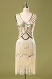 Sequin Glitter Fringe 1920s Dress