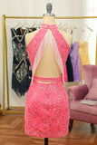 Pink Open Back Halter Lace Tight Cocktail Dress
