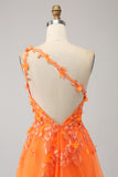 Orange A-Line One Shoulder Tulle Long Ball Dress with Appliques