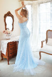 Mermaid One Shoulder Sky Blue Plus Size Tulle Ball Dress with Appliques
