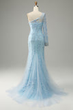 Sky Blue One Shoulder Mermaid Tulle Ball Dress With Appliques