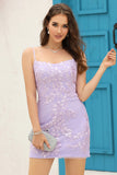 Lilac Lace Tight Short Cocktail Dress