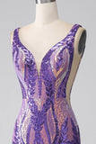 Dark Purple Mermaid V Neck Sequins Long Ball Dress