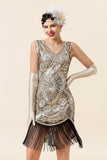 Silver Sequins Fringes 1920s Gatsby Dress with 20s Accessories Set