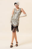 Silver Sequins Fringes 1920s Gatsby Dress with 20s Accessories Set