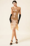 Pink Cap Sleeves Sequined Fringes 1920s Gatsby Flapper Dress with 20s Accessories Set