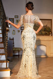 Sparkly Golden Sequin Long 1920s Dress with Accessories Set