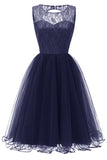 Navy Round Neck Lace  Cocktail Party Dress