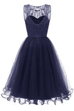 Navy Round Neck Lace  Cocktail Party Dress