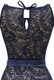 Navy Vintage Lace Halloween Dress