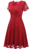 Red V-neck Lace Dress