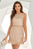 Blush Sequins Short Cocktail Party Dress with Feather